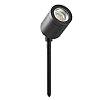 Hunza Spike Spot Adjustable