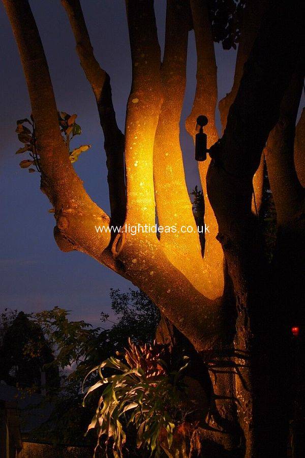 Down Lighting Gallery Light Ideas International Ltd