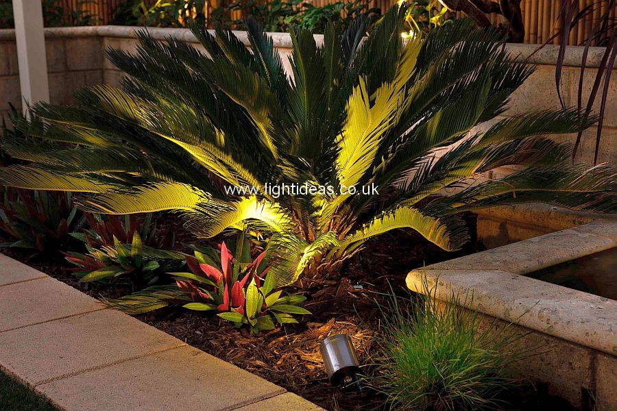 Up Lighting Gallery Light Ideas International Ltd